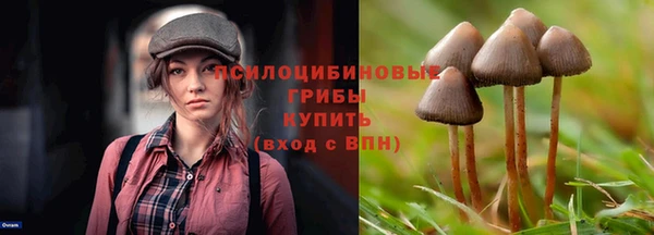 МДМА Богородск