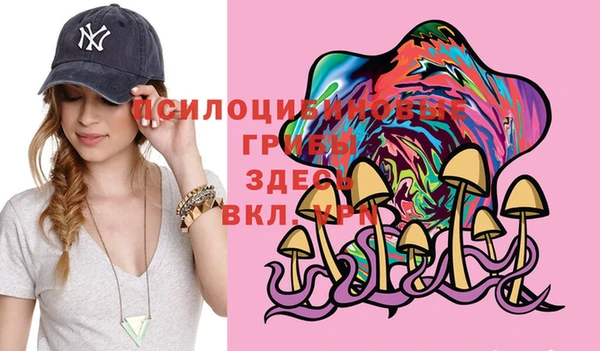 таблы Богородицк