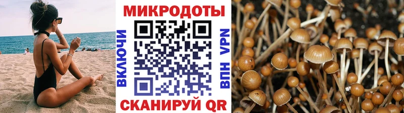 Псилоцибиновые грибы мицелий  где продают   Мончегорск 